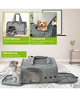 Slickblue Breathable Mesh Pet Carrier – Airline Approved for Pets Up to 16.5lbs with Locking Zippers