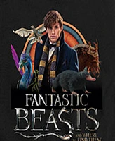 Hybrid Big Boys Harry Potter Fantastic Beasts Graphic Tee