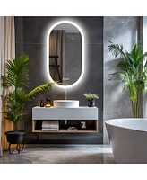 Wisfor 600 x 1200mm Wall-mounted Oval Led Backlight Bathroom Vanity Mirror with 3 Lights