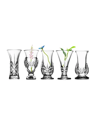 Godinger Dublin 5 Piece Bud Mini Vases Set