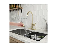 Casainc 1.8 Gpm Single-Handle Pull-Down Kitchen Faucet Single Hole