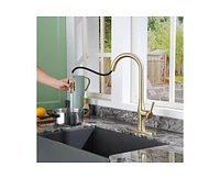 Casainc 1.8 Gpm Single-Handle Pull-Down Kitchen Faucet Single Hole with Deck Plate