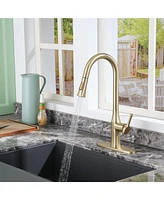 Casainc 1.8 Gpm Single-Handle Pull-Down Kitchen Faucet Single Hole with Deck Plate