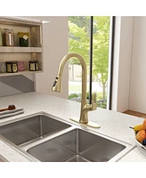 Casainc Single-Handle Pull-Down Sprayer Kitchen Faucet with Digital Display
