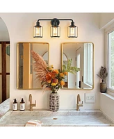 Flynama 24 in. 3-Light Vanity Light with Clear Glass Shade