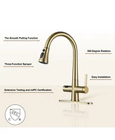 Casainc 1.8 Gpm Pull Down Kitchen Faucet with Deck Plate and Digital Display