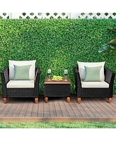 Gouun 3 Pieces Outdoor Patio Rattan Furniture Set with Table