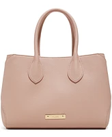 Aldo Birin Medium Satchel Bag