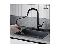 Casainc Pull Down Sprayer Kitchen Faucet with Dual-Function and Deck Plate Spot-Free