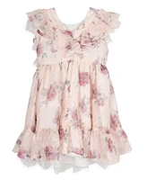 Rare Editions Toddler and Little Girls Embroidered Chiffon with Lace Trim Dress