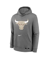 Nike Big Boys and Girls Steel Chicago Bulls 2024/25 City Edition Club Fleece Pullover Hoodie