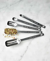 King Arthur Baking Company Stainless Steel 9-Piece Measuring Spoon Set