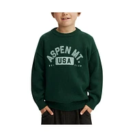 Cotton On Boys Blake Knit Crew