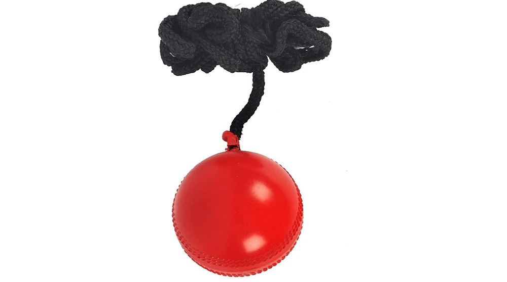 Amber Sports Sg Synthetic I Ball with a cord Cricket Hanging Ball For Practice