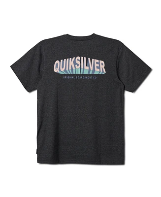 Quiksilver Men's Blocked Short Sleeve T-Shirt