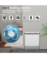 Gouun 2-in-1 Portable Twin Tub Washing Machine with Timer Control and 22lbs Capacity