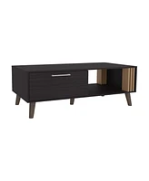 Lenoir Coffee Table, 1 Door, 1 Shelf, Black / Natural Oak