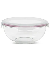 Sedona Kitchen 10-Piece Nesting Glass Bowl Set