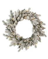 Seasonal 24" Palmetto Pine Flocked Wreath, 50 Dual Led Lights