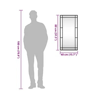 vidaXL Wall Mirror Black 15.7"x31.5" Rectangle Iron