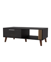 Fm Furniture Govan Coffee Table with a Door, Conical Legs, and Open Storage, Wengue