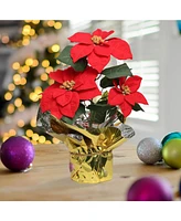 Floral Home 9.5" Diameter Artificial Red Poinsettia Bush with 3 Flowers in Pot Pack of 6