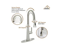 Casainc Spring Neck Standard Kitchen Faucet with Dual-Function spray head and Deck Plate
