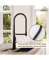 Casainc Spring Neck Standard Kitchen Faucet with Dual-Function spray head and Deck Plate