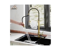 Casainc Spring Pull Down Sprayer Kitchen Faucet with Dual-Function Spray Head and Deck Plate