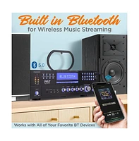 Pyle Karaoke Home Wireless Microphone Amplifier
