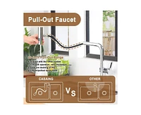 Casainc Single Handle Pull Out Kitchen Faucet