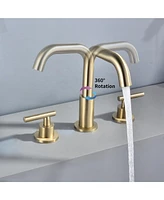 Casainc Widespread 2 Handle Mid-Arc Bathroom Faucet