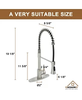 Casainc Spring Standard Kitchen Faucet with Dual-Function Spray Head and Deck Plate