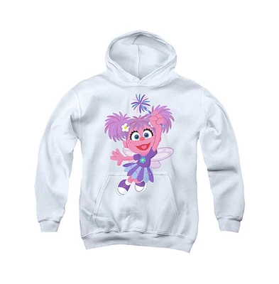 Sesame Street Boys Youth Furry Friends Forever! Abby Cadabby Pull Over Hoodie