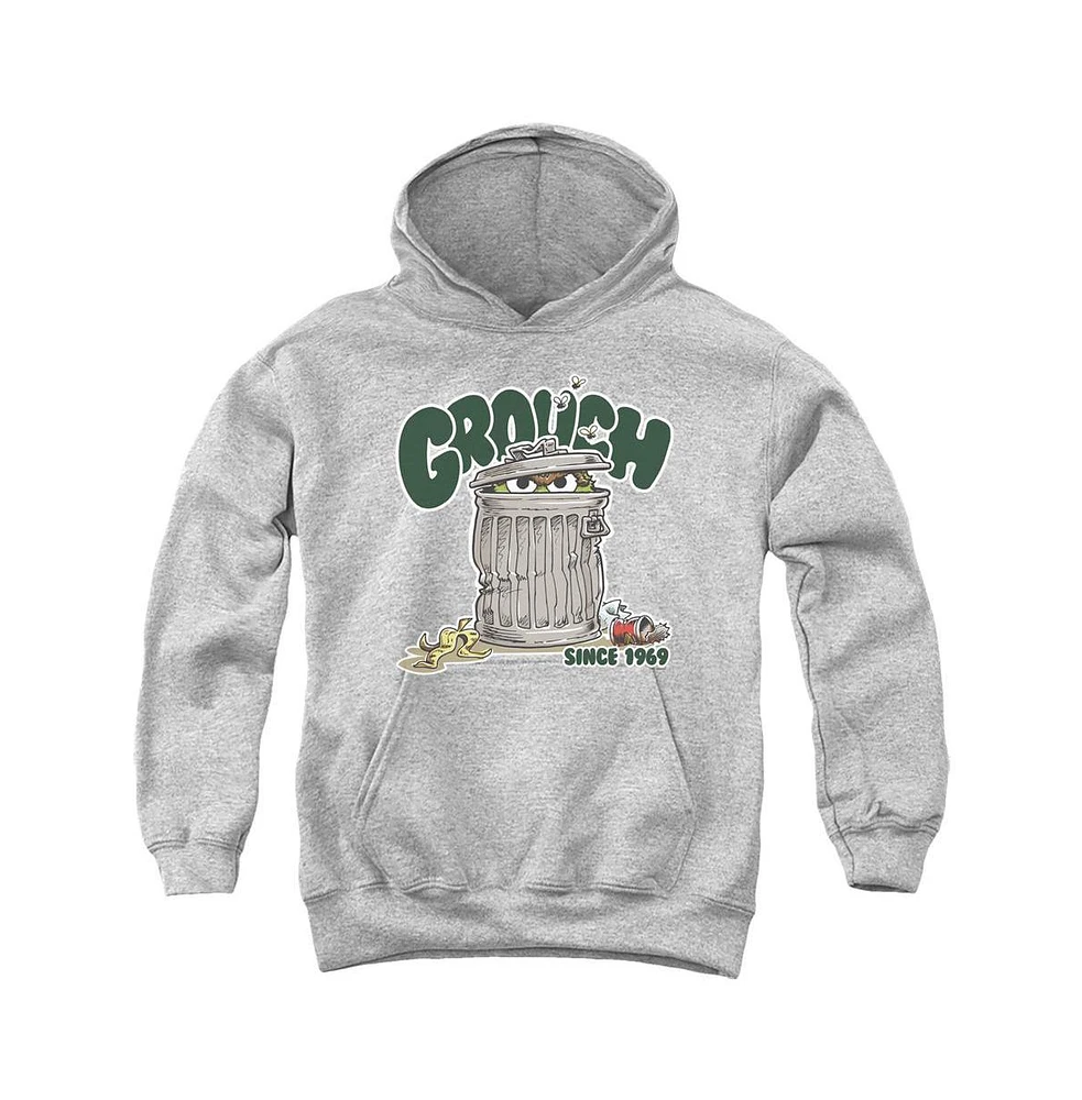 Sesame Street Boys Youth Grouch Pull Over Hoodie