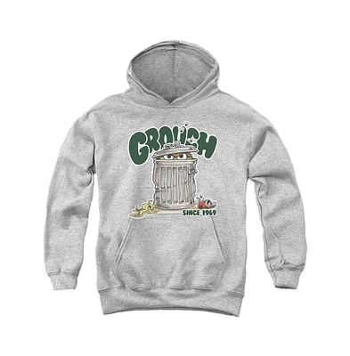 Sesame Street Boys Youth Grouch Pull Over Hoodie