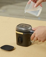 Salav Hs-15 Quicksteam Travel Steamer