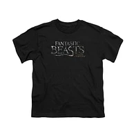 Fantastic Beasts Boys Logo Short Sleeve Juvenile Tee / T-Shirt