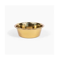 Hiddin Clear Single Dog Bowl Feeder with Gold
