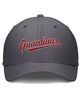 Nike Men's Gray Cleveland Guardians Swoosh Performance Flex Hat