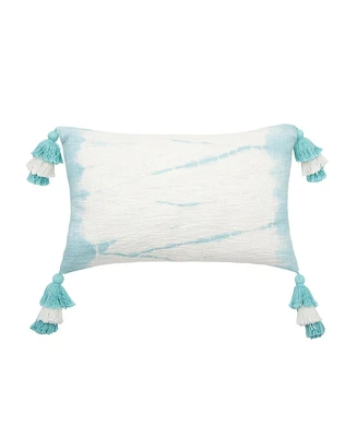 14" x 22" Buckroe Surf Light Blue & White Ombre Cotton Accent Throw Pillow w/ Tassels