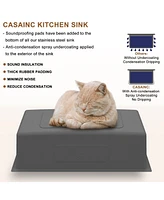 Casainc 31inch L Kitchen Sink with Accessories