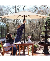 Sunnydaze Decor 9-Foot Patio Umbrella - Push-Button Tilt and Crank Handle - Aluminum Pole and Polyester Shade Canopy