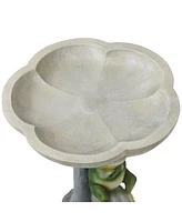 Sunnydaze Decor Brooding Frog on a Stone 22-Inch H Polyresin Bird Bath