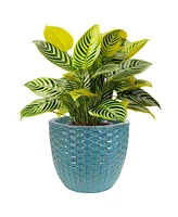 Sunnydaze Decor 14" Raised Hexagon Pattern Glazed Ceramic Plant Pot - Features 1 Drainage Hole - 1.75 Gal Soil Capacity - Turquoise