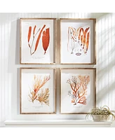 Napa Home & Garden Coral Reef Study Set of 4