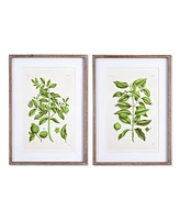 Napa Home & Garden Guava Prints, Set Of 2