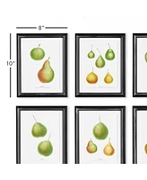 Napa Home & Garden Pear Study, Set Of 6 Wall Art