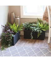 2-Section Polyrattan Rectangle Indoor Planters - 21.5 Inches W x 11.5 D 9.25 H