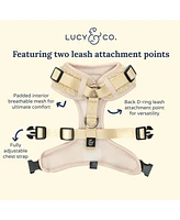 Lucy & Co. The Cider Teddy No-Pull Harness